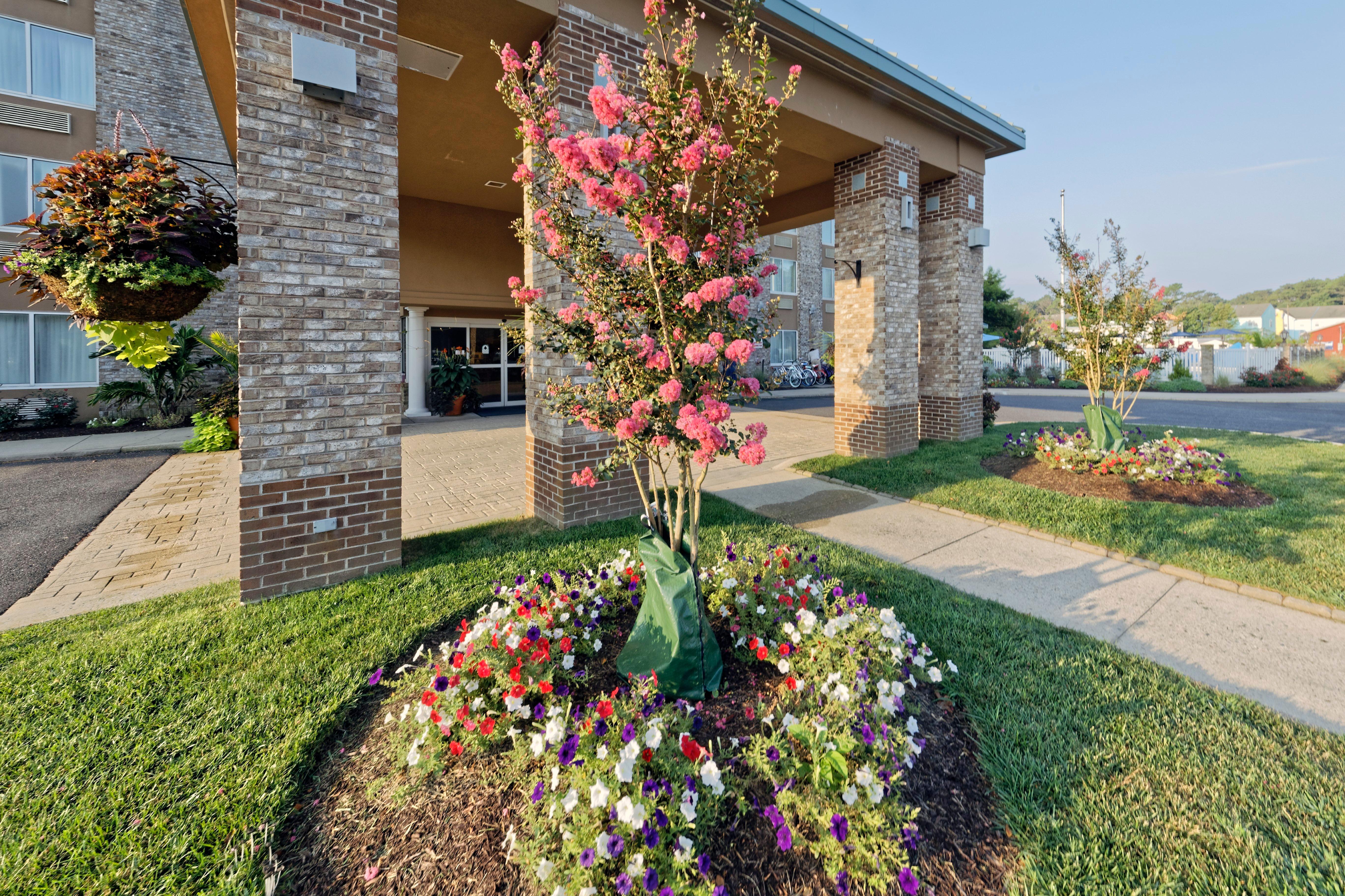 Hotel Bethany Beach Εξωτερικό φωτογραφία
